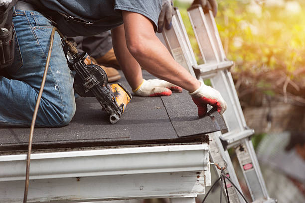 Best Roof Gutter Cleaning  in Mansfield Center, CT
