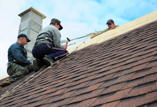 Best Metal Roofing Contractor  in Mansfield Center, CT